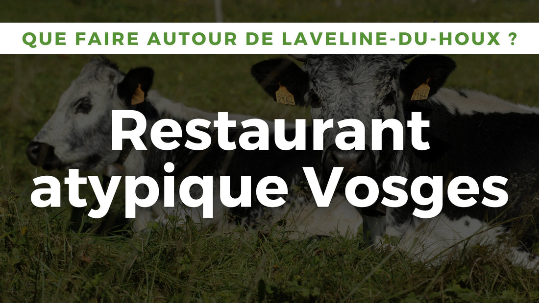 Restaurant atypique Vosges : repas insolite dans un wagon