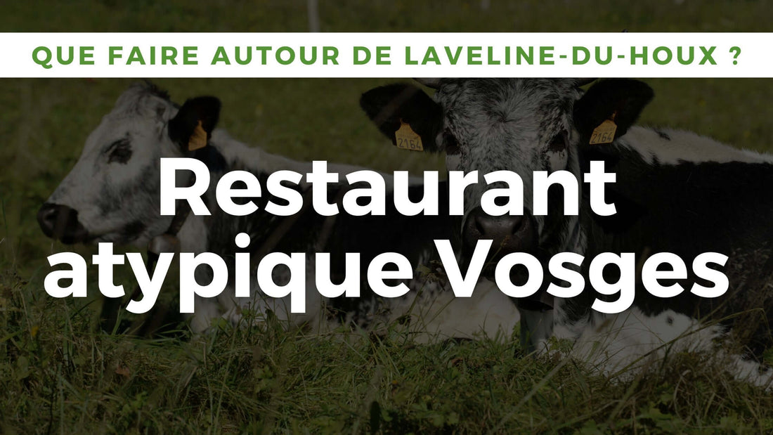 Restaurant atypique Vosges : repas insolite dans un wagon