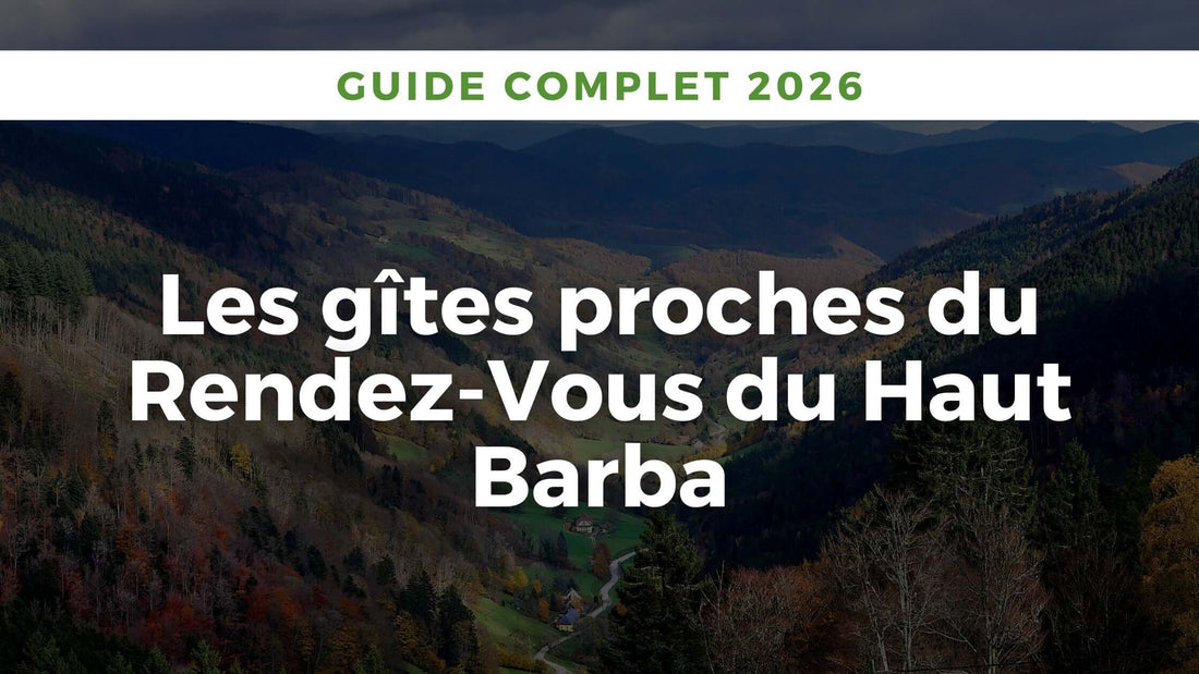 Paysage des Hautes Vosges : nature luxuriante, forêt et montagne, parfait pour séjour de répit et randonnée près de Laveline-du-Houx.