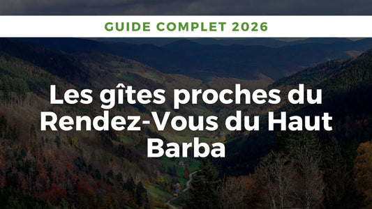 Paysage des Hautes Vosges : nature luxuriante, forêt et montagne, parfait pour séjour de répit et randonnée près de Laveline-du-Houx.