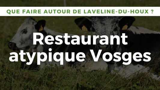 Restaurant atypique Vosges : repas insolite dans un wagon